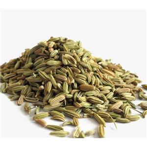 Fennel Oil