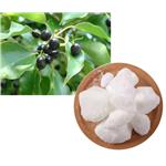 464-49-3 D-CAMPHOR; Camphor tree extract