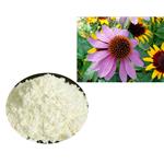 ChicoricAcid; Echinacea extract pictures