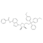 5'-DMT-RIBO ADENOSINE (N-BZ) pictures