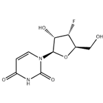 3'-deoxy-3'-fluorouridine pictures