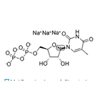 2'-Deoxythymidine-5'-diphosphate trisodium salt pictures