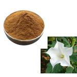 Scopolamine butylbromide; Flos?daturae extract pictures