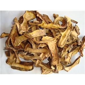 Boletus powder (Boletus extract); Porcini extract