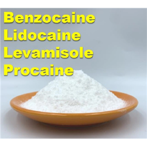 Benzocaine Hydrochloride