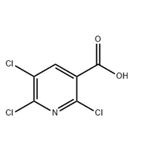 2,5,6-tetrachloropyridine