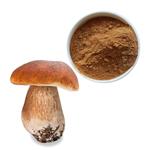 Boletus powder (Boletus extract); Porcini extract pictures