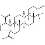 472-15-1 Betulinic acid