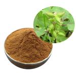 Xanthium Extract pictures