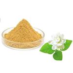 Jasmine powder; Jasmine extract pictures