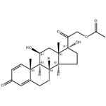 Prednisolone acetate pictures