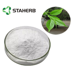 327-97-9 Chlorogenic Acid