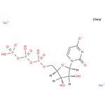 Uridine 5'-triphosphate disodium salt,UTP,UTP-Na2; 5'-UTP-Na2 pictures