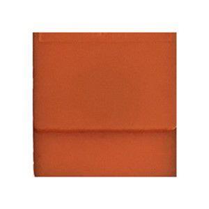 SOLVENT ORANGE 107