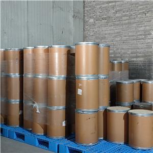 METHYL VINYL ETHER/MALEIC ACID COPOLYMER