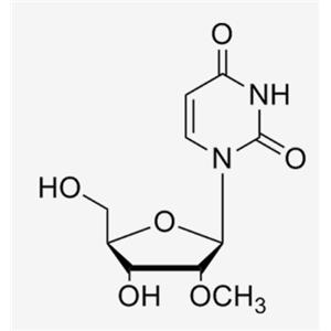 2'-O-Me-Uridine;2'-OMe-U