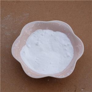 MONO-METHYL SUCCINATE