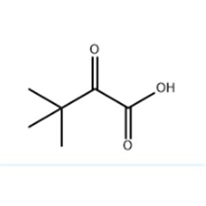 3,3-Dimethyl-2-oxobutyric acid