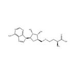 5'-DEOXY-S-ADENOSYL-L-HOMOCYSTEINE pictures