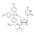 5'-O-DMT-2'-OMe-U-CE pictures