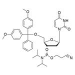 DMT-dU-CE pictures