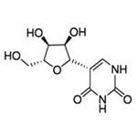 Pseudouridine pictures