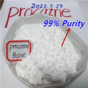 Procaine base