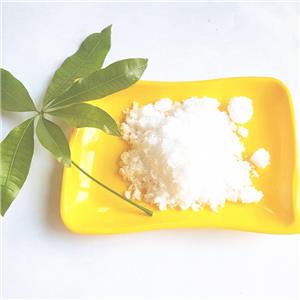 AMINOPROPYL DIHYDROGEN PHOSPHATE