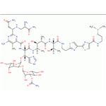 Bleomycin pictures