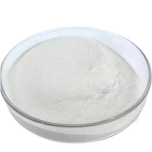 POLY(2-HYDROXYACETIC ACID)