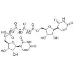 Diquafosol pictures