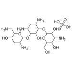 Tobramycin sulfate pictures