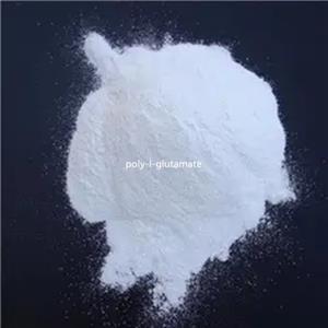 poly-l-glutamate