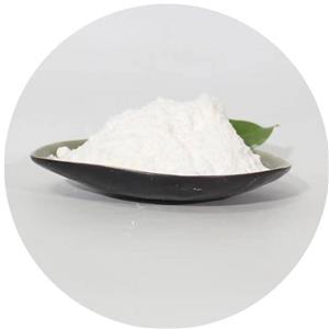 Nandrolone phenylpropionate