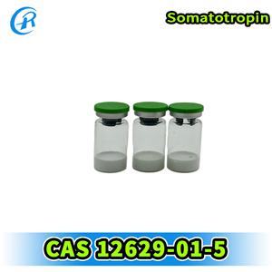 Somatotropin