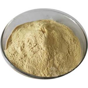 Soybean Lecithin