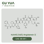 (Val5)-Angiotensin II pictures