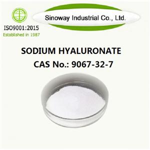 Sodium Hyaluronate