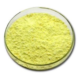 Camptotheca Acuminata Extract