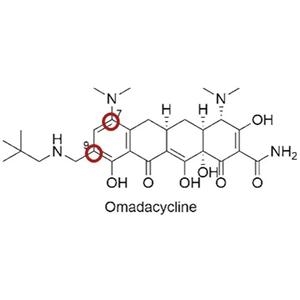 Omadacycline Tosylate