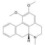 NUCIFERINE pictures