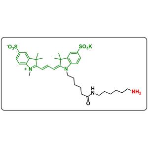 diSulfo-Cy3 amine