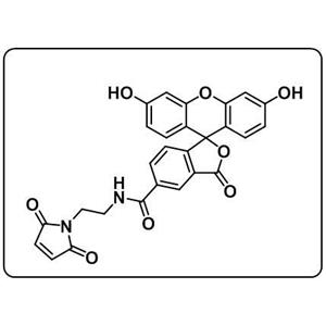 5-FAM Maleimide