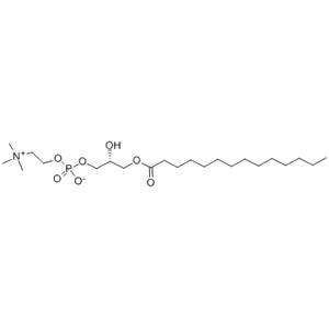 1-MYRISTOYL-SN-GLYCERO-3-PHOSPHOCHOLINE