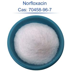 norfloxacin