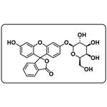 Fluorescein β-D-galactopyranoside pictures