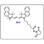 Cyanine3.5 NHS ester（BF4） pictures