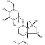 SHANZHISIDE METHYL ESTER pictures