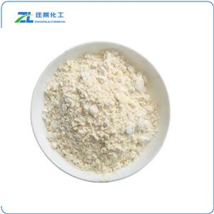 Epigallocatechin Gallate/ EGCG Powder