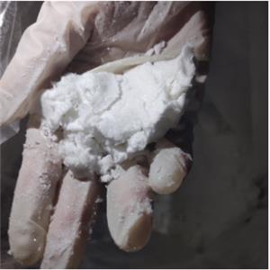 ETHYL LAUROYL ARGINATE HCL